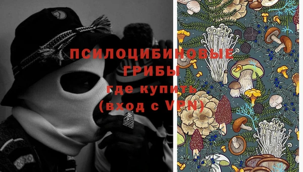 ГАЛЛЮЦИНОГЕННЫЕ ГРИБЫ Алексеевка