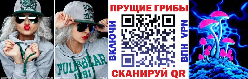 Псилоцибиновые грибы Psilocybine cubensis  что такое   Ковылкино 